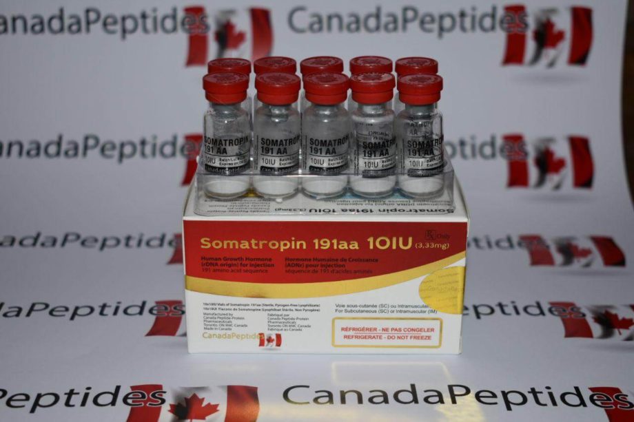 Гормон роста Соматропин 191AA от Canada Peptides